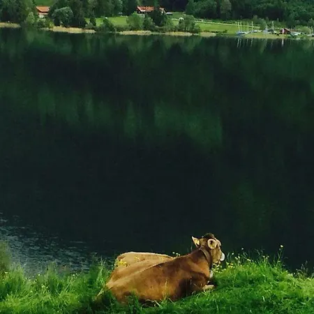 Villa-marlon Appartement *