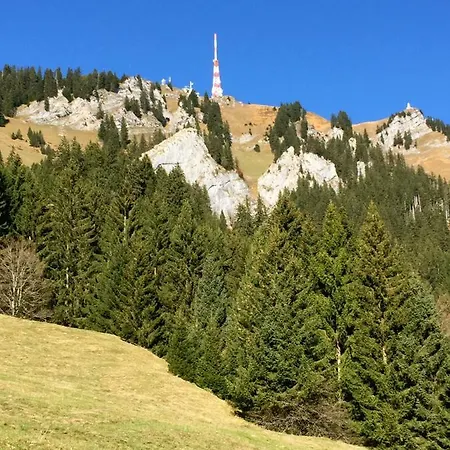 Villa-marlon Апартаменты *